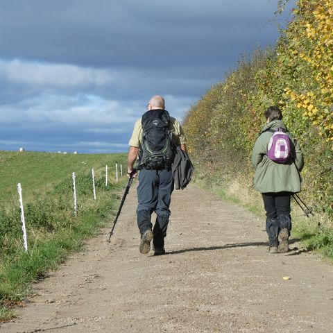 Marcle Ridge and Woolhope Dome
