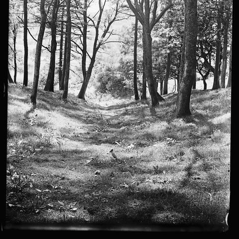 Alfred Watkin's photograph of some Devil's Acre