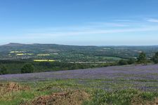 mortimer country
