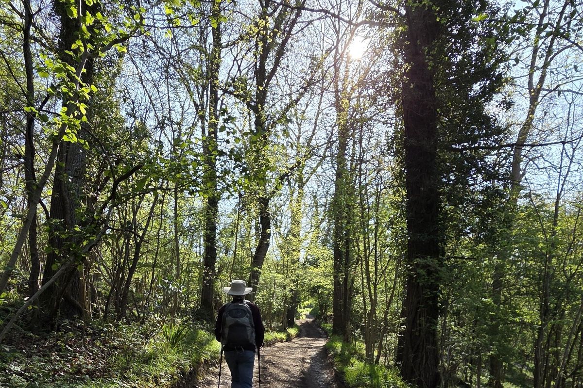 The walk goes through varied habitats