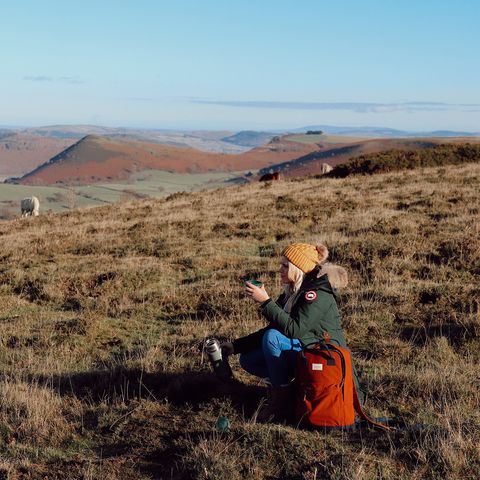 Woman drinking tea atop hilly landscape with wild ponies in background