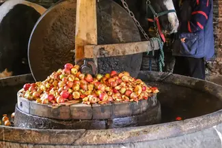 fair oak cider