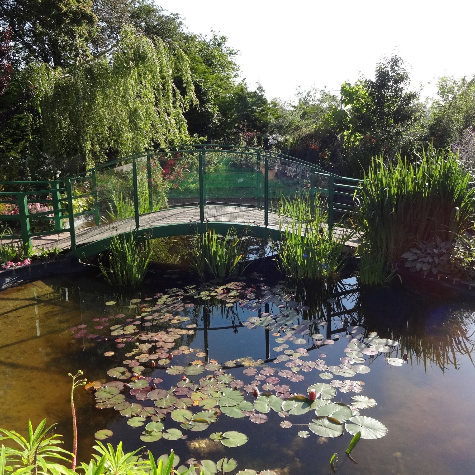 Monet garden
