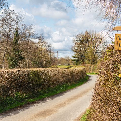 country lane