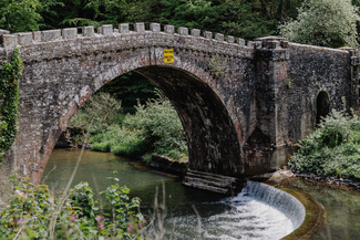 Downton Gorge Bridge