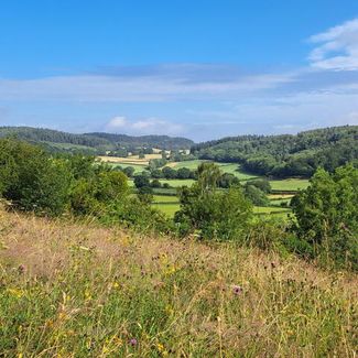 Fownhope walk