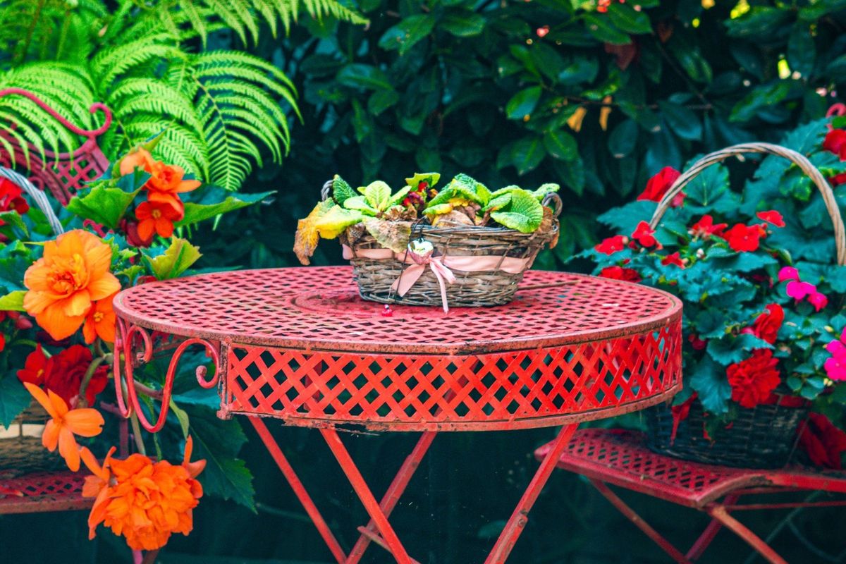 National Garden Scheme Open Day