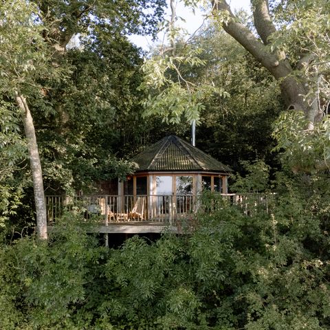 Brook House Woods - Venn treehouse