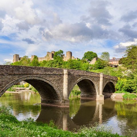 Bridge into ludlow