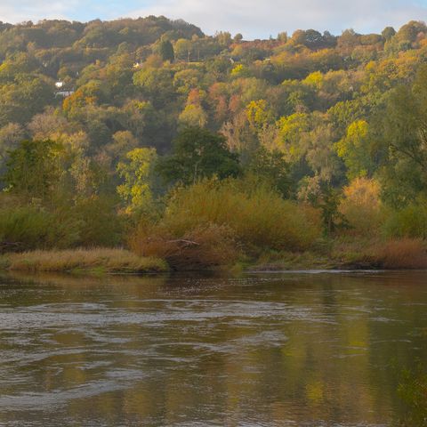 wye valley