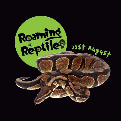 Roaming Reptiles at the Museum of Cider