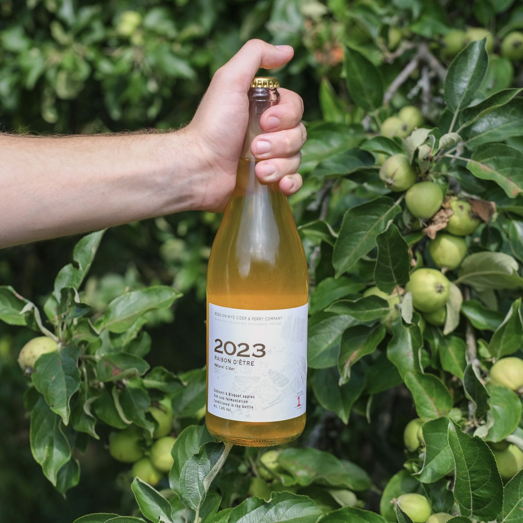 Our very favourite cider. Raison D'Etre, with a new vintage released every year.