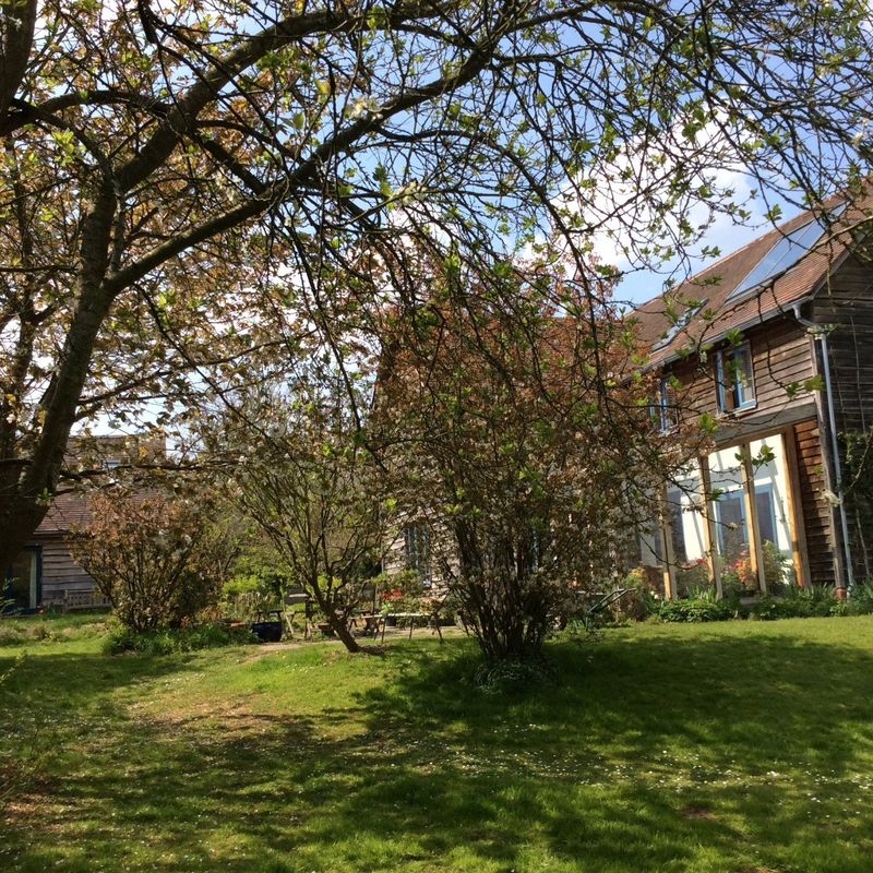 Rowan McOnegal Hedgerow Medicine