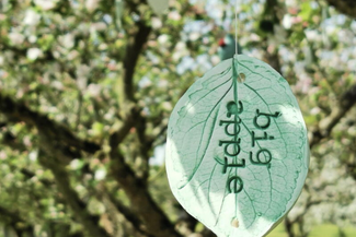 big apple sign hanging in a blossom filled orchard