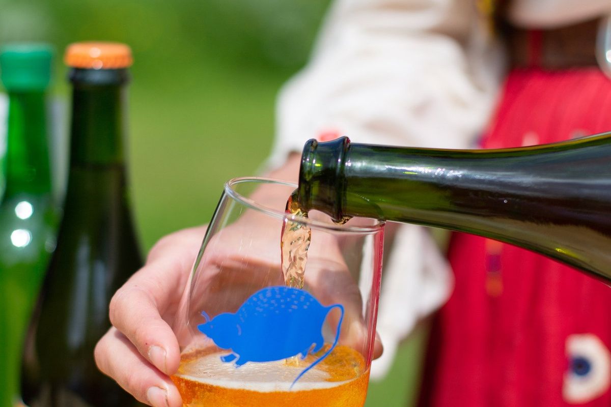 Cider tasting in the permaculture garden