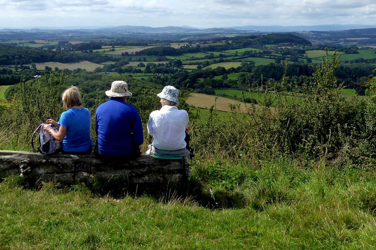 Ross Walking Festival