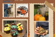 A poster of Halloween activities