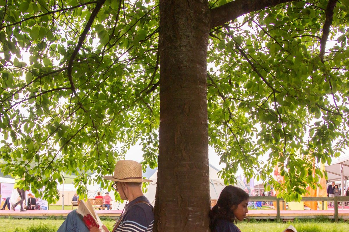 Hay Festival