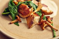 Plate of wild mushrooms