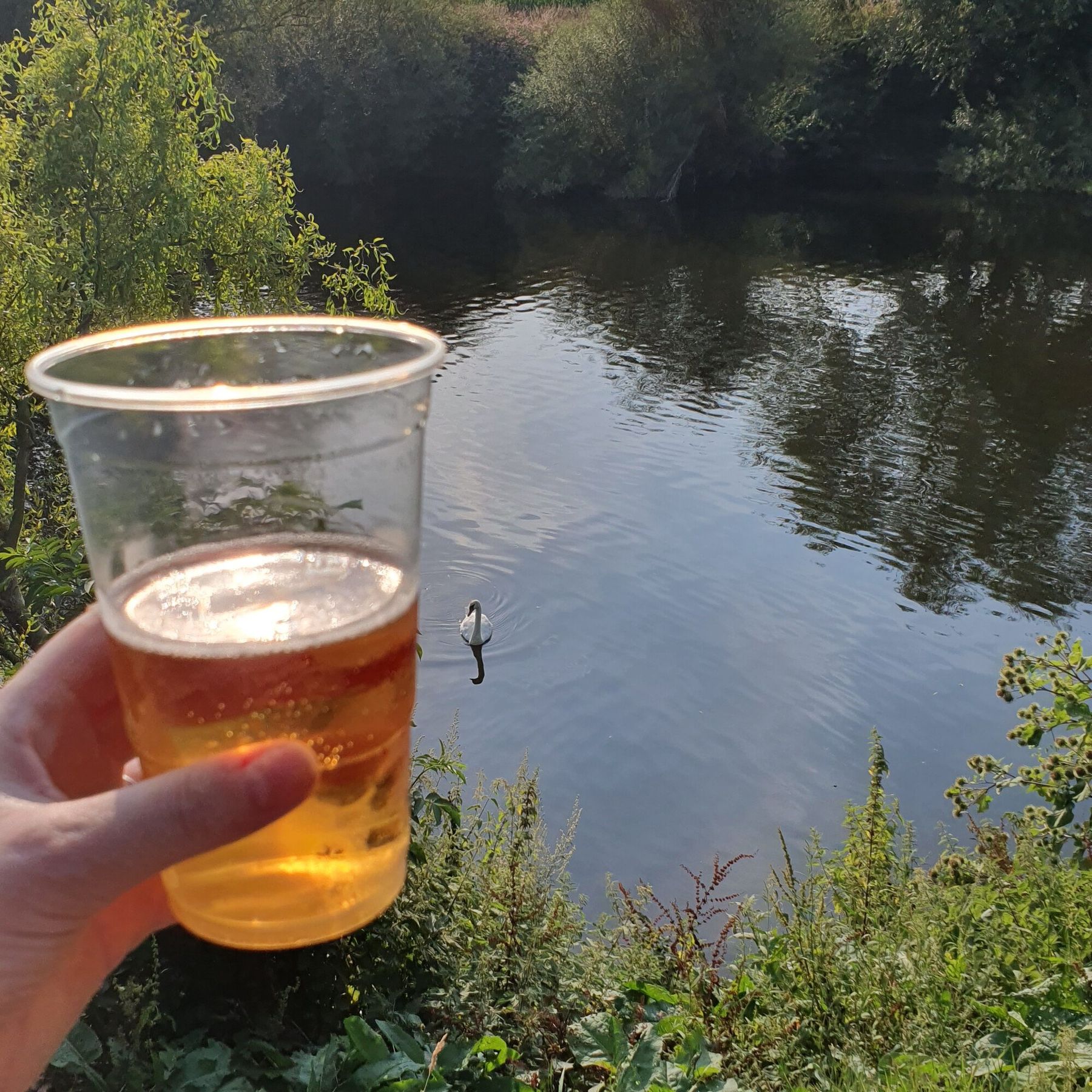 Views over looking the River Wye
