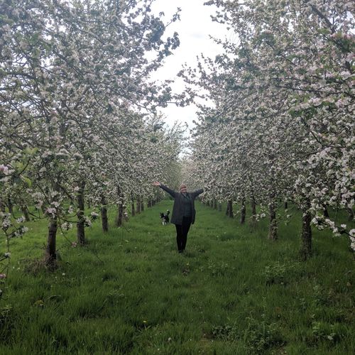 Ross-on-Wye Cider & Perry Company