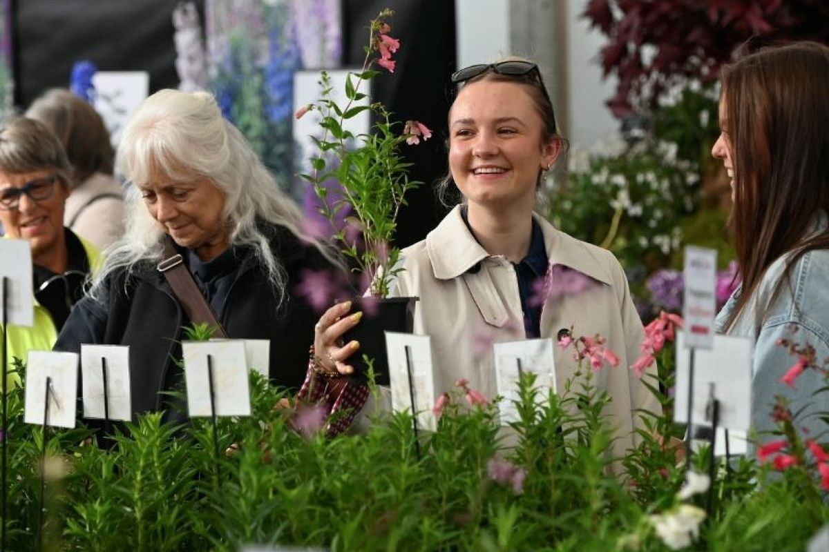 RHS Flower Show