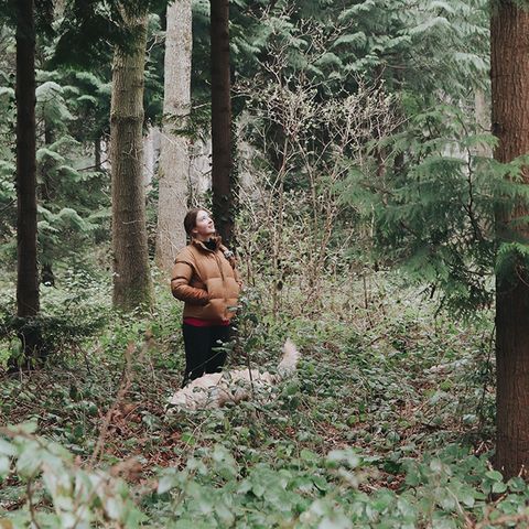 Walking through Moccas Wood