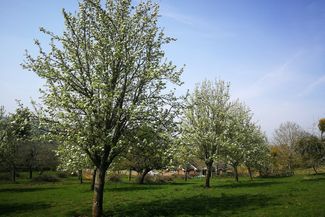 gwatkin cider