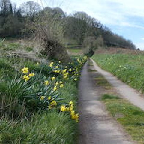 Wythall Estate Wine Walk spring flowers