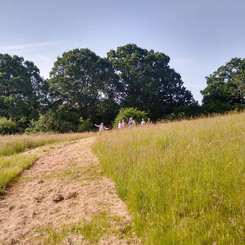 Walking Ross to Little Dewchurch
