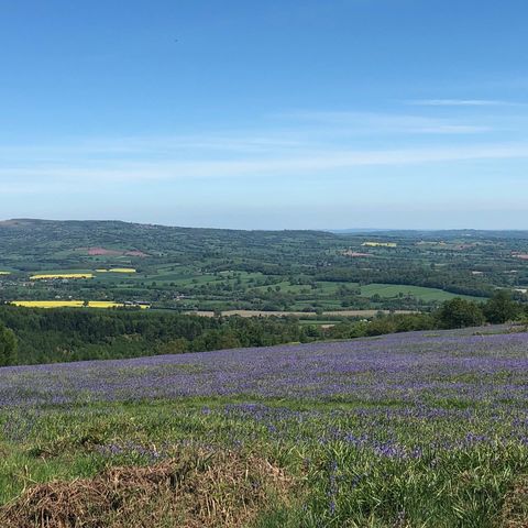 mortimer country