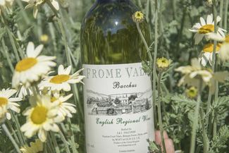frome valley bacchus