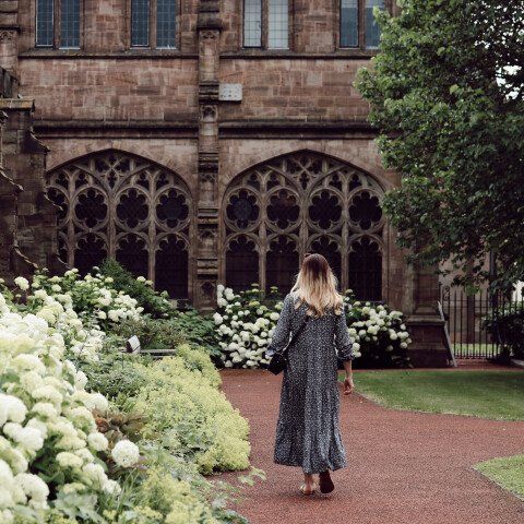 Woman walking past the hydrangeas at hereford cathedral