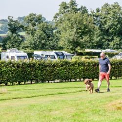ten-acre dog field