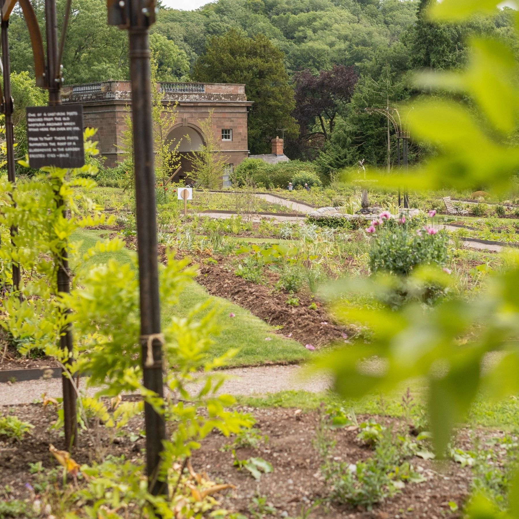Berrington's new flower garden promising a flower filled space for years to come