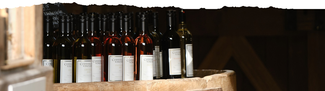 bottles on wine catching the sunlight 