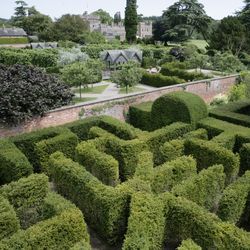 1000-Yew Maze