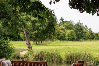 The Lion Leinwardine