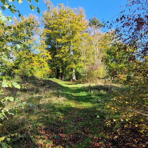 Out of the City — The Dinedor Walk