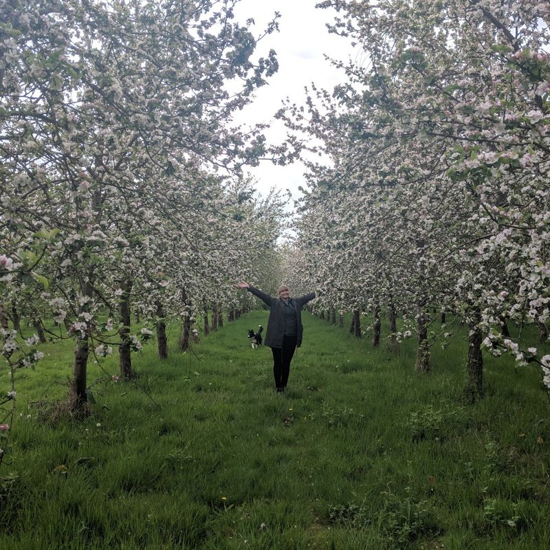 Ross-on-Wye Cider & Perry Company
