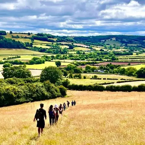 walking through golden fields