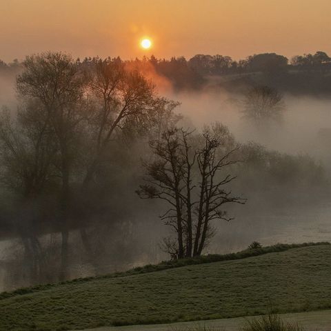 Nicholas Craddock