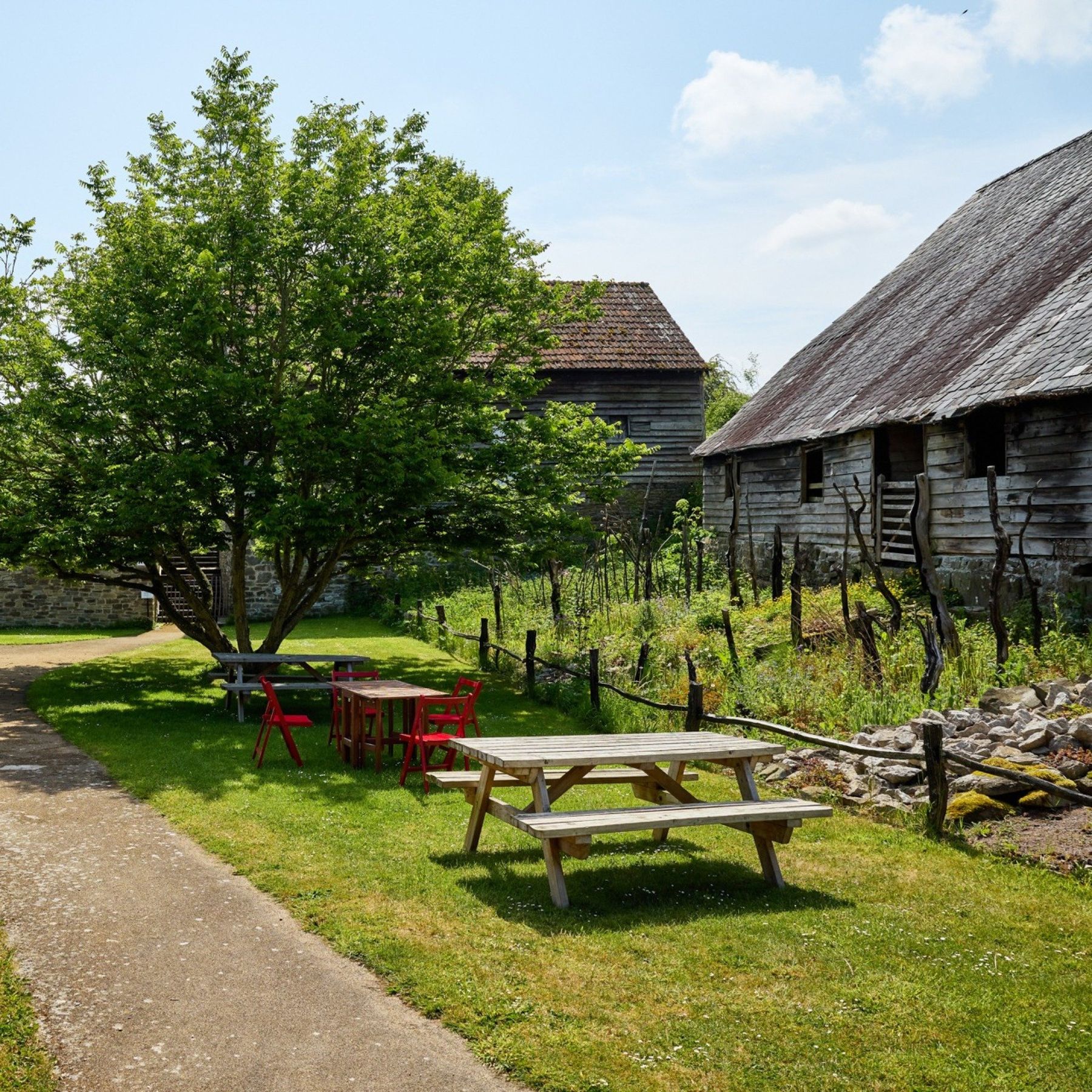 Picnic Benches