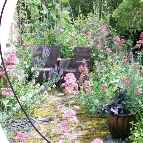 St Michael's Hospice Open Garden - Castle Moat House
