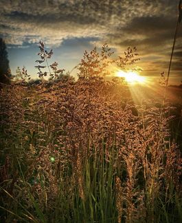 Sollars Hope (Photo credit: Ollie Crunchdog)