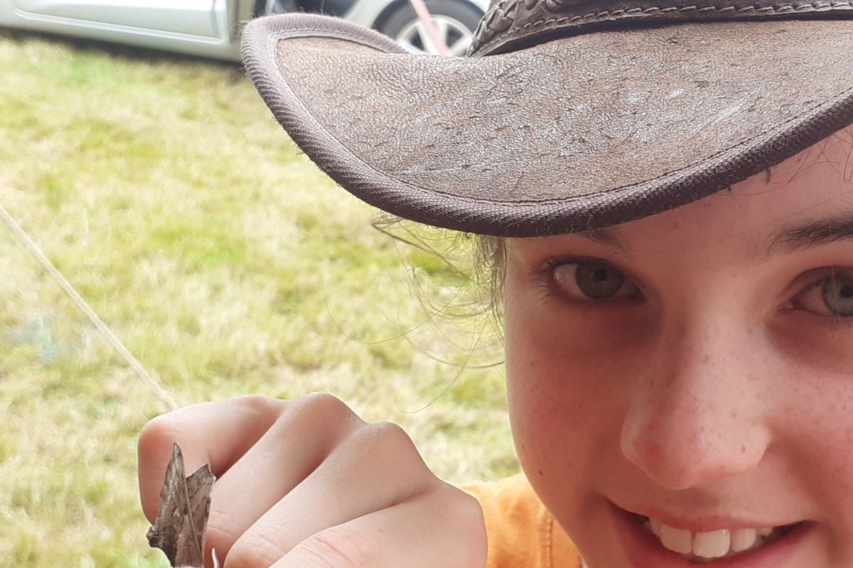 Wildlife Weekend: Invertebrates