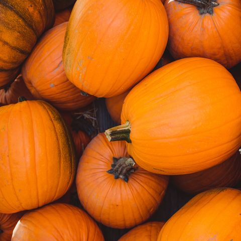 PYO Pumpkins