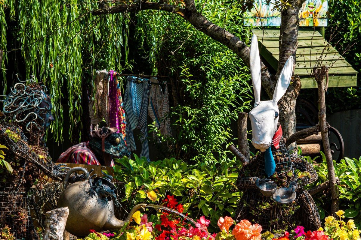 National Garden Scheme Open Day