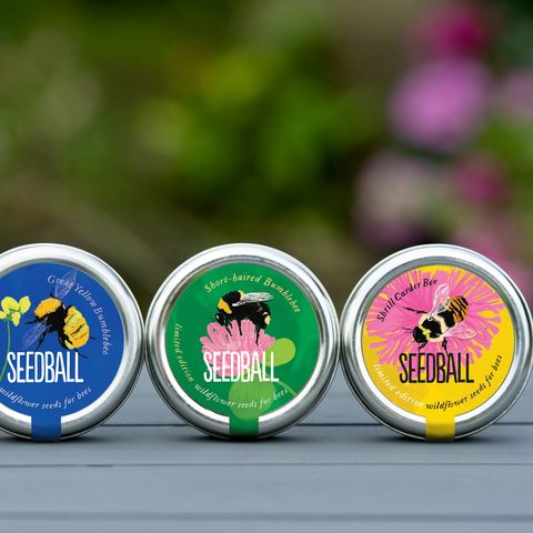 seedball gifts