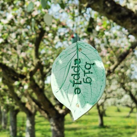 Big Apple tag hanging from apply tree branches